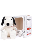 snoopy sitting in box