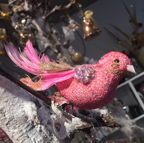 Birdy pink